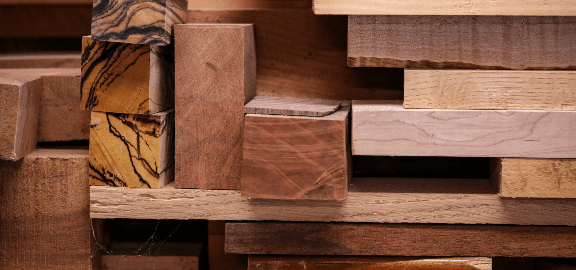 Guida alla scelta del legno: l’essenza giusta per ogni ambiente della casa